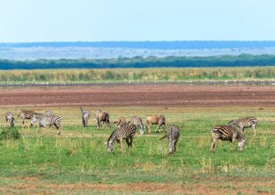 Tanzania