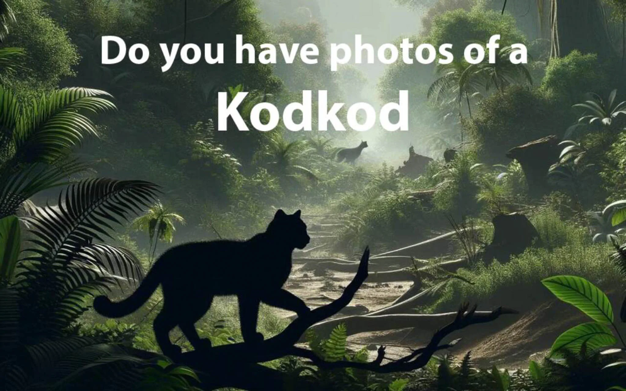 Contact us to share your image