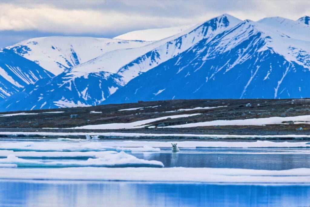 Svalbard is not as inaccessible as most people think. However meeting polar bears is less common than the warning signs will make you think. Often a cruise around the archipelago leads to the most success.
