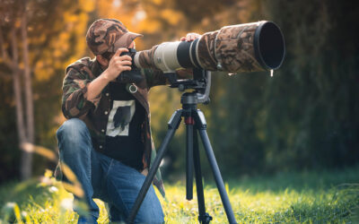Best Lens for Wildlife Photography